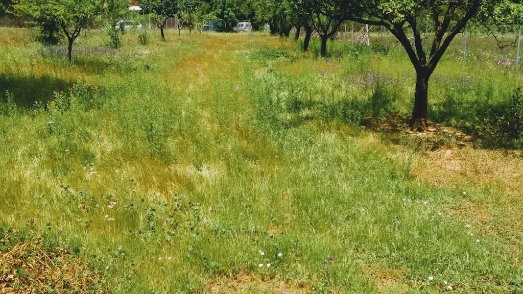 Palo y Chamiza Guadalajara_Casa de Uceda_slider_image_2