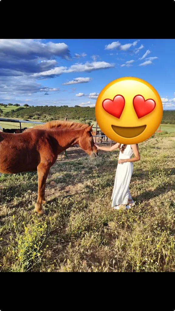 Tania Cristina García Diaz_Finca Campo Enmedio _Cabanillas del Campo_recensione