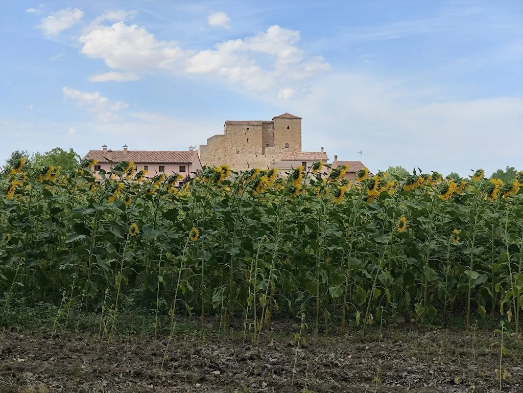 Juanan Sánchez_La Ínsula de Castilnuevo_Castilnuevo_review