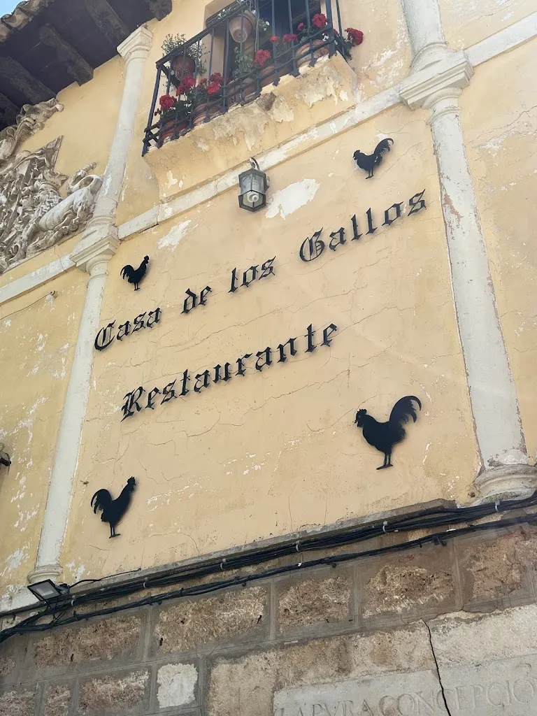 Fran_Restaurante Casa de los Gallos_Cifuentes_review