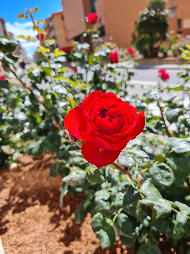 JOSE LUIS LARCUEN FAGO_Restaurante Lo Fogaril_Cincovillas_review