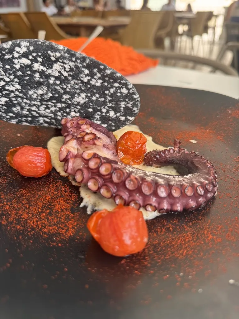 Ari Greve_Caliu_Altea_review