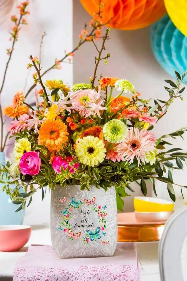 Moldovan Flore_La Terraza del Parque_Cincovillas_review