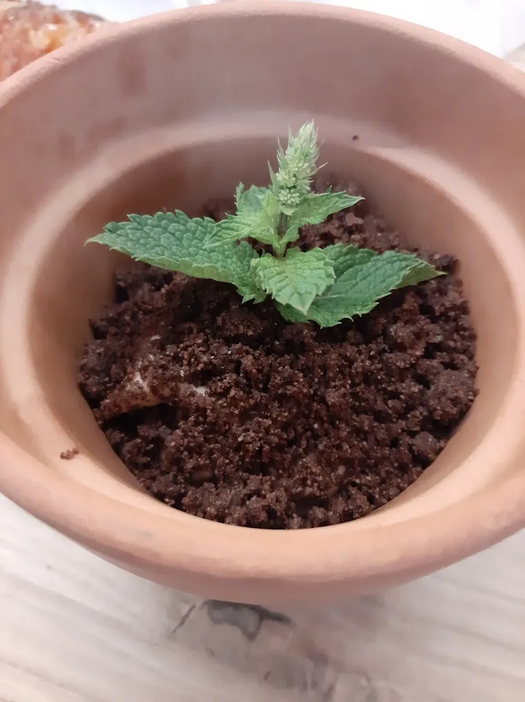 Menu_L'Aljubet Resto-Bar_Banyeres de Mariola_image_5