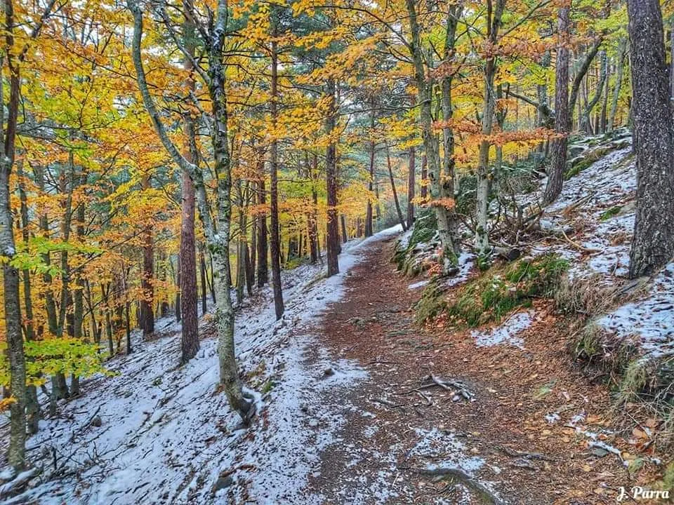 Hostal Galve de Sorbe_Galve de Sorbe_slider_image_3