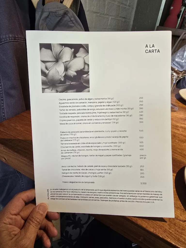 Menu_Restaurante Alcalde_Guadalajara_image_4