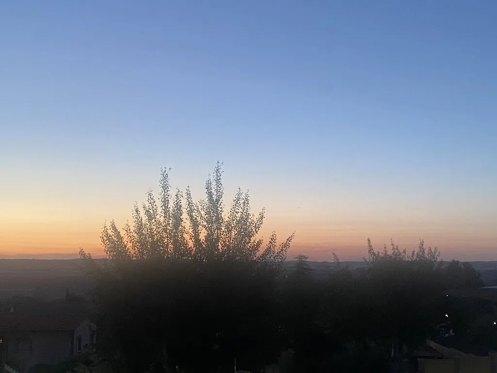 Lasha Bjalava_Ballestar Hotel Bar & Grill_Illana_review