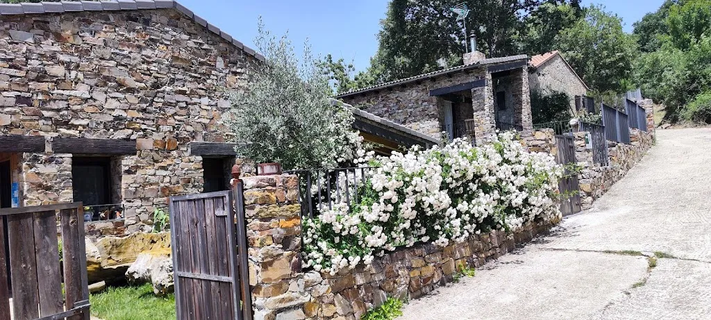 Ricardo DM_MESÓN OCEJÓN._Jirueque_review