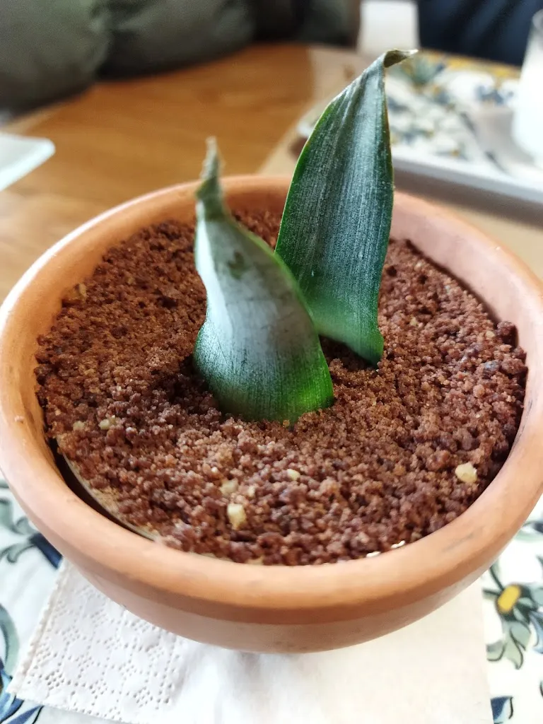 Menu_Venta El Borrego_Banyeres de Mariola_immagine_7