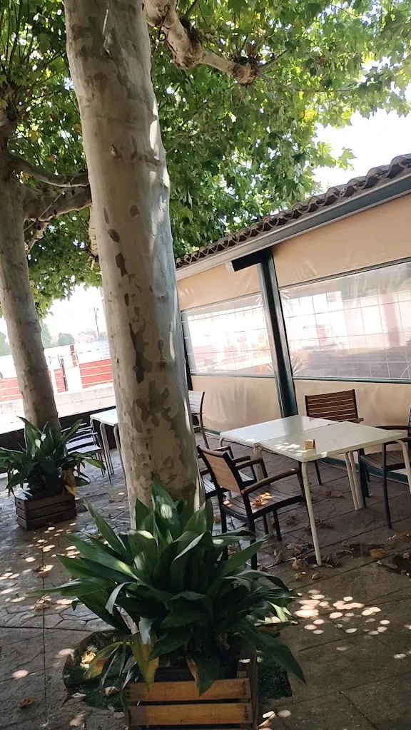 Restaurante Mesón El Rodeo_Málaga del Fresno_slider_image_2