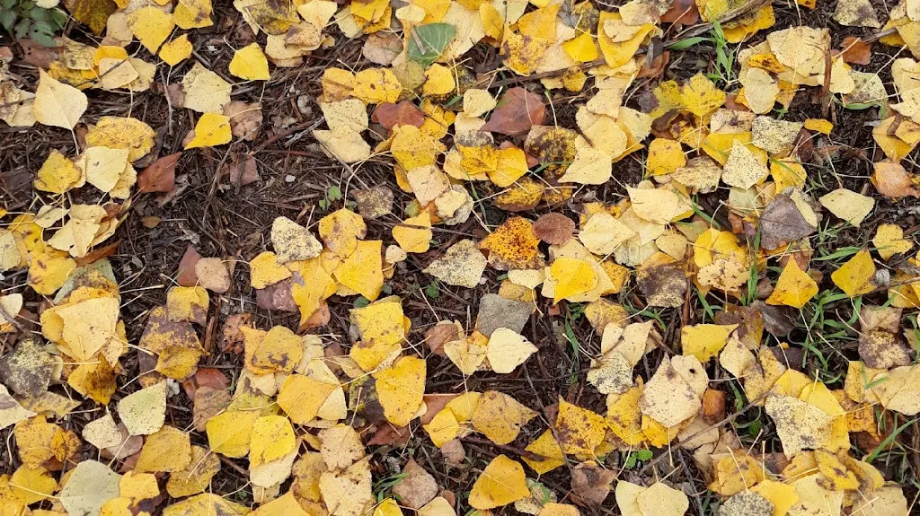 Meson el Castillo_Banyeres de Mariola_slider_image_2