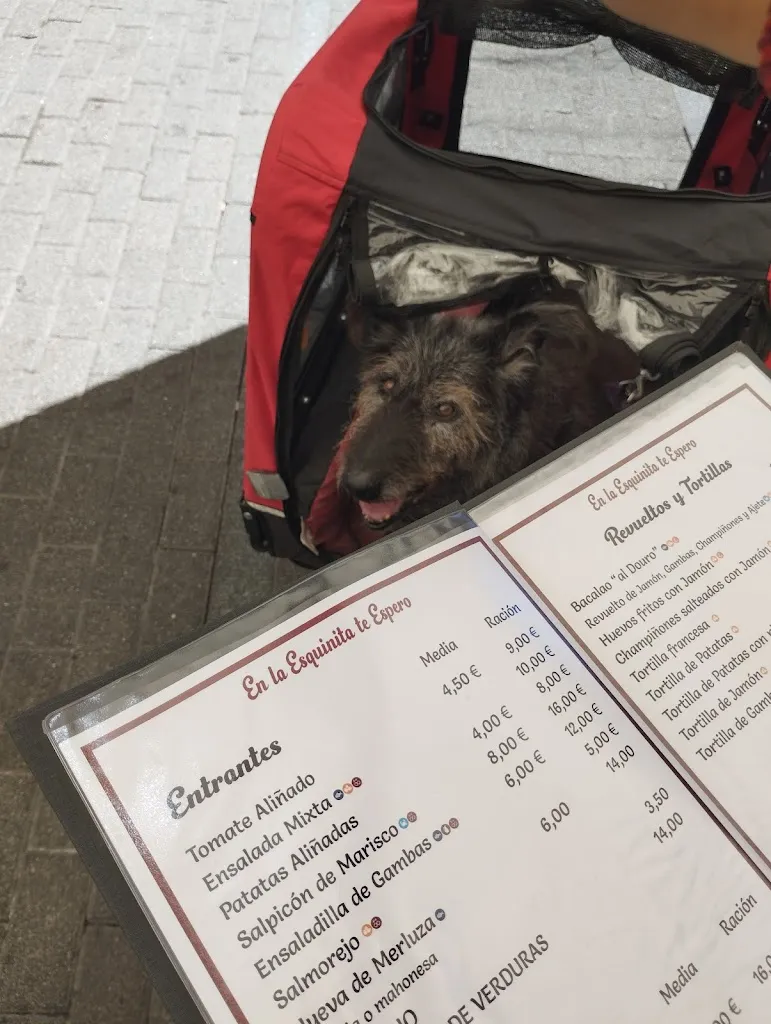 Menu_En la Esquinita Te Espero | Tapas y platos tradicionales en Huelva_Hueva_image_1