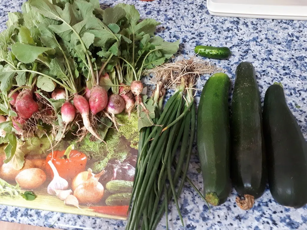 Menu_Bar La Taberna_Mondéjar_image_6