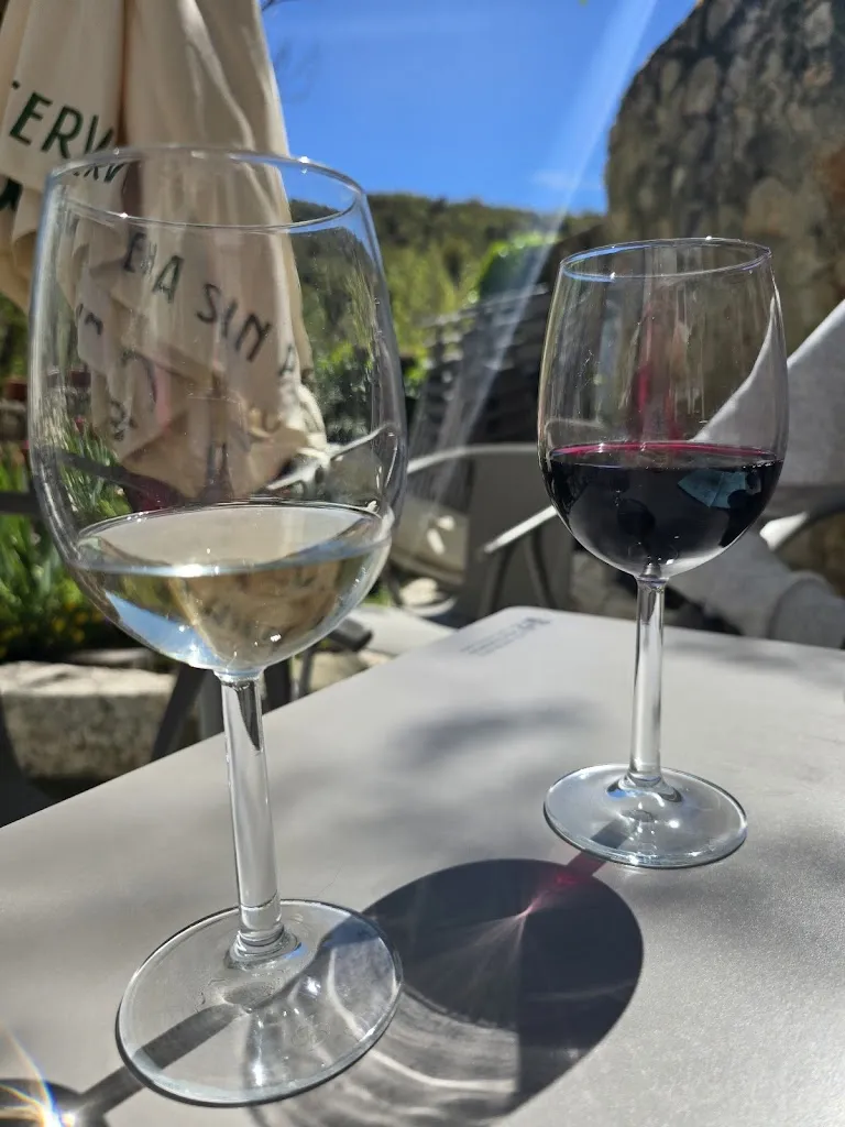 Kristina Mihaela_Restaurante El Portón_Olmeda de Cobeta_review