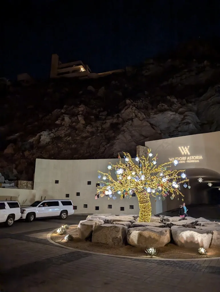 Sachin Kumar_Don Manuel's_Pedregal El_review