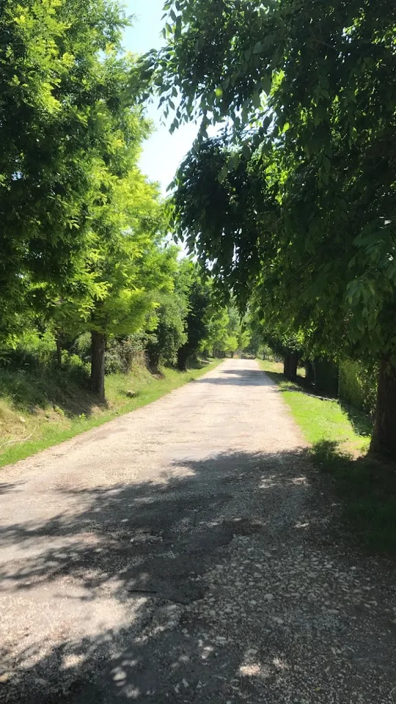 Casa Plácida_Peralejos de las Truchas_slider_image_3