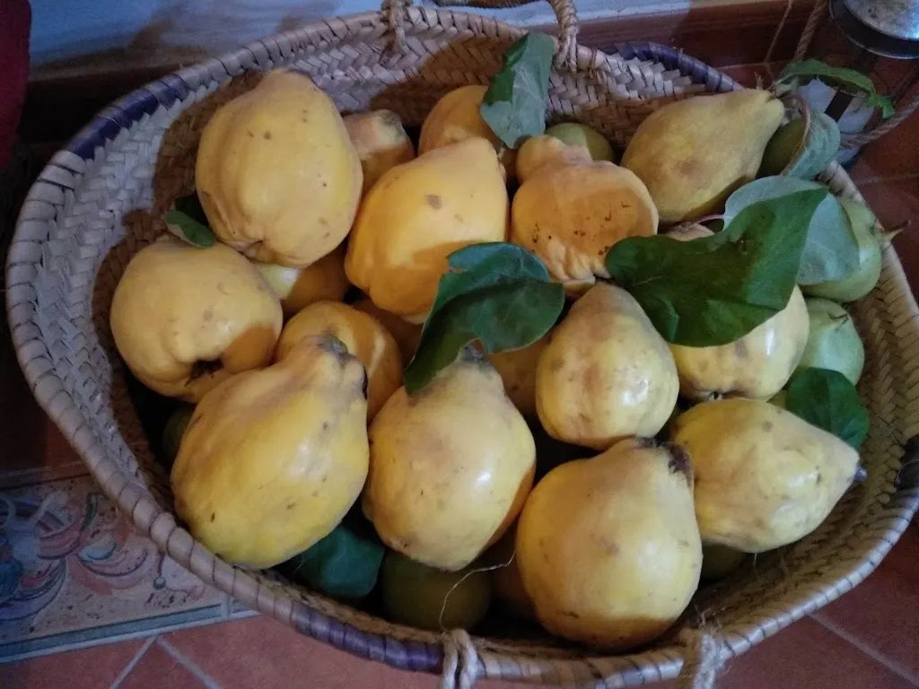 Menu_La Gaseosa_Pastrana_image_5