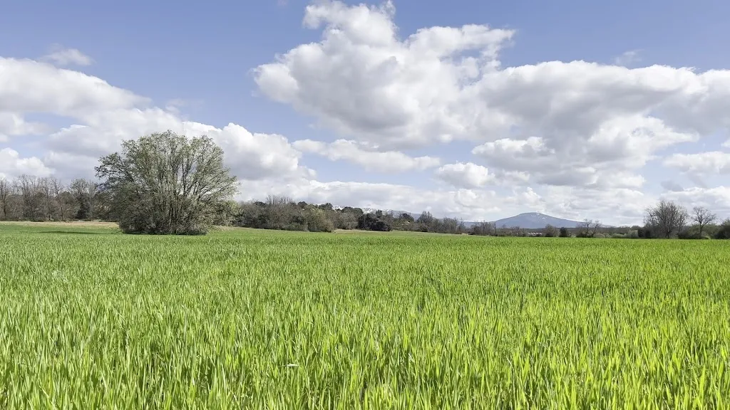 Tello Fernandez_Mesón Prado Pinilla S L_Pinilla de Molina_review