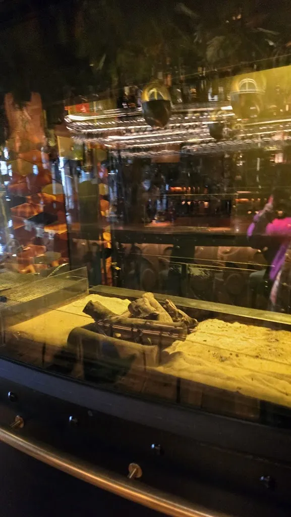 Ana Cris Benito_Amazónico_Pobo de Dueñas El_review