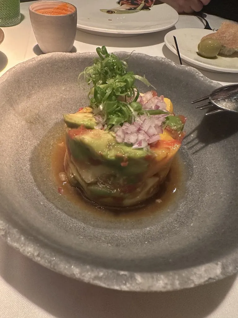 Fahima Al Saidi_Amazónico_Pobo de Dueñas El_review