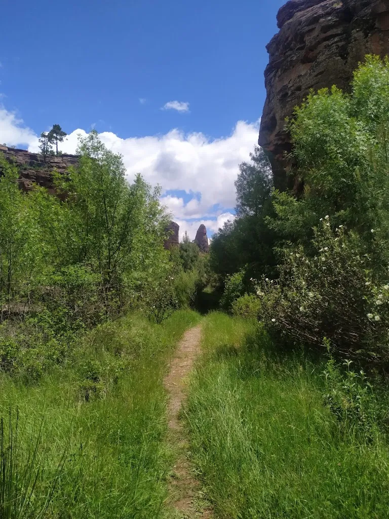 Eva Delgado_Centro Social_Riba de Saelices_review