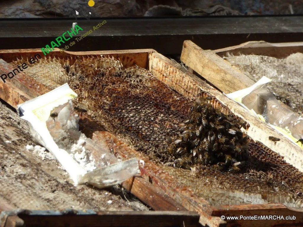 Menu_Centro Social / Bar - Santamera_Riofrío del Llano_image_6