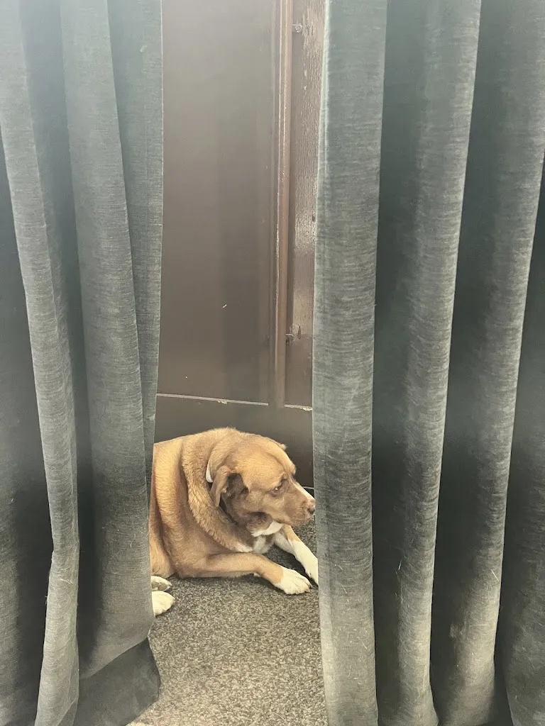 Fheds A A_Hotel Cardamomo Sigüenza_Paredes de Sigüenza_recensione