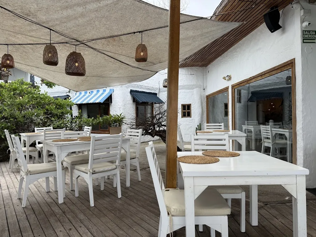 David Maddison_Almar_Galápagos_recensione