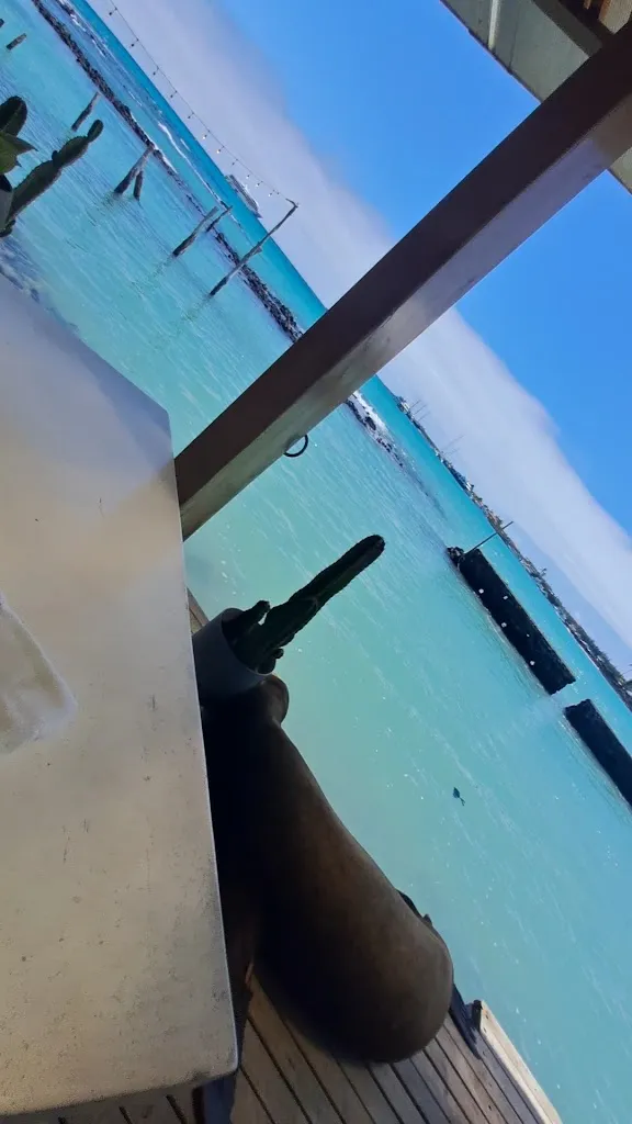 Almar_Galápagos_slider_image_2