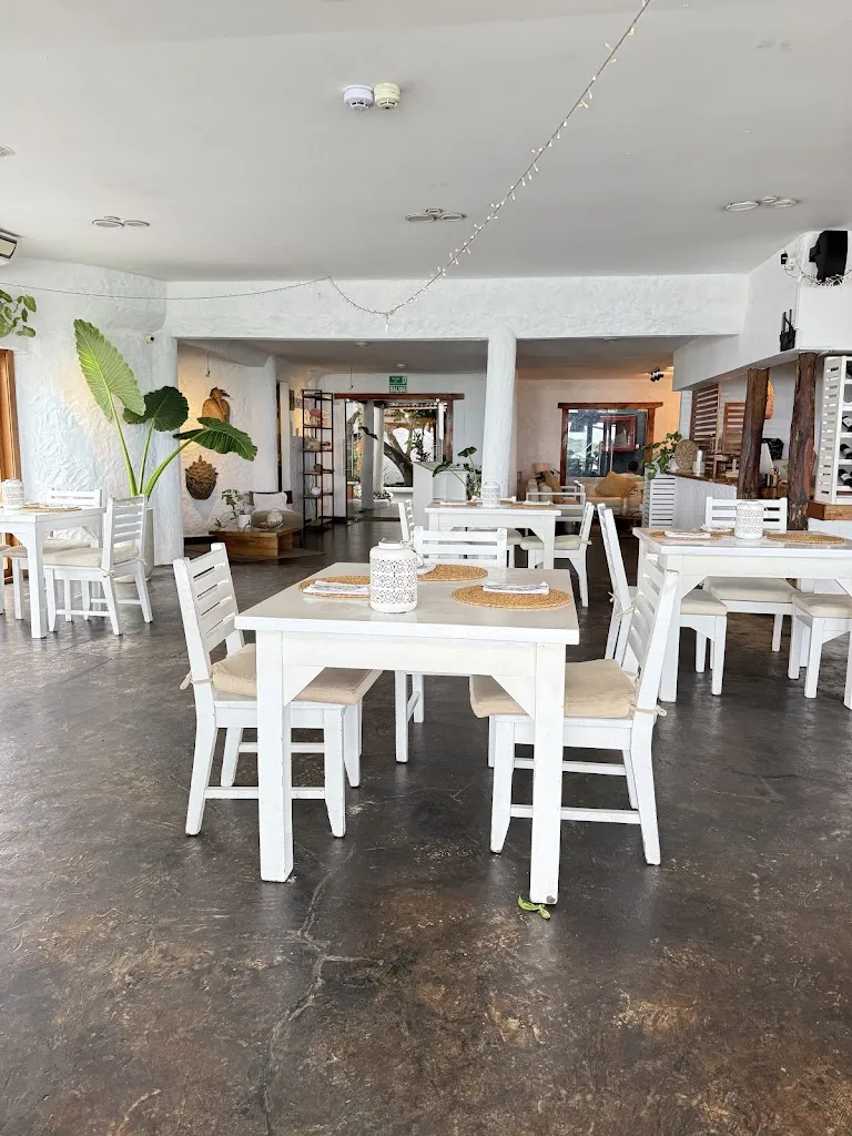 Almar_Galápagos_slider_image_3