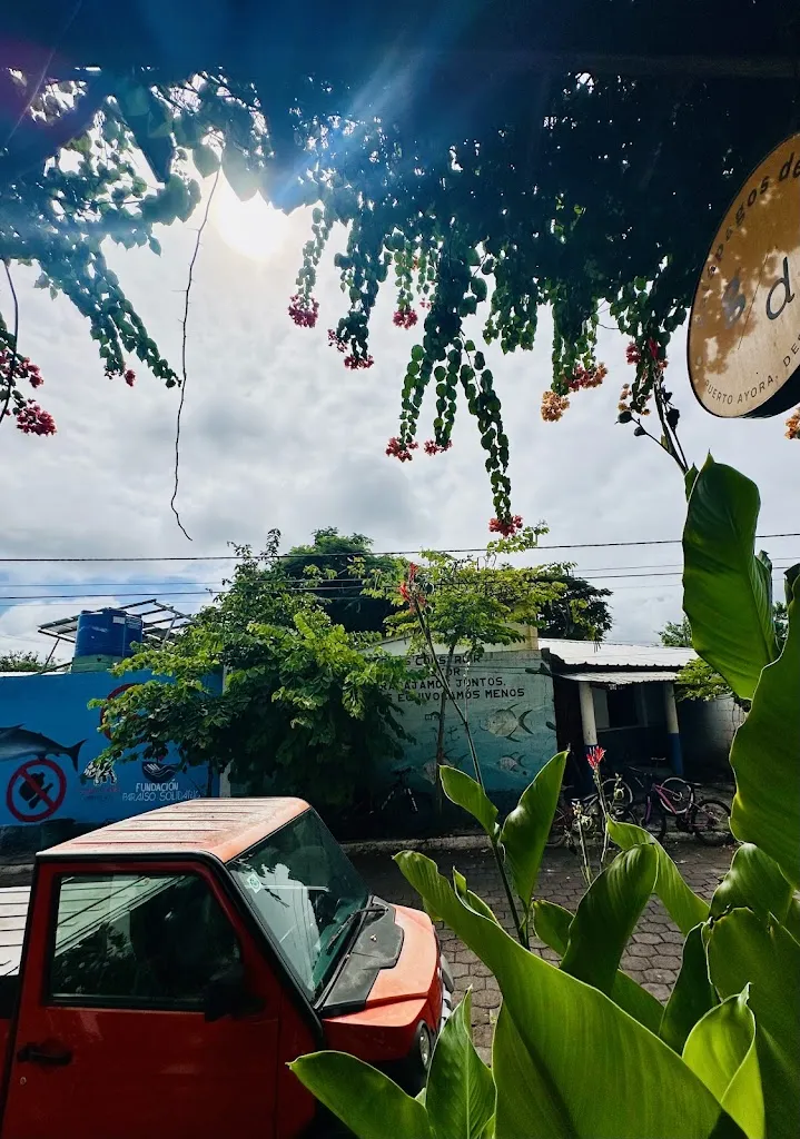 Minji Lee_Galapagos Deli_Galápagos_review