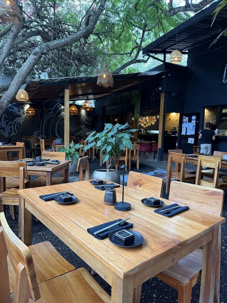 David Maddison_Midori_Galápagos_review