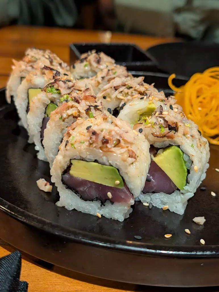 Santiago Hollmann_Midori_Galápagos_review