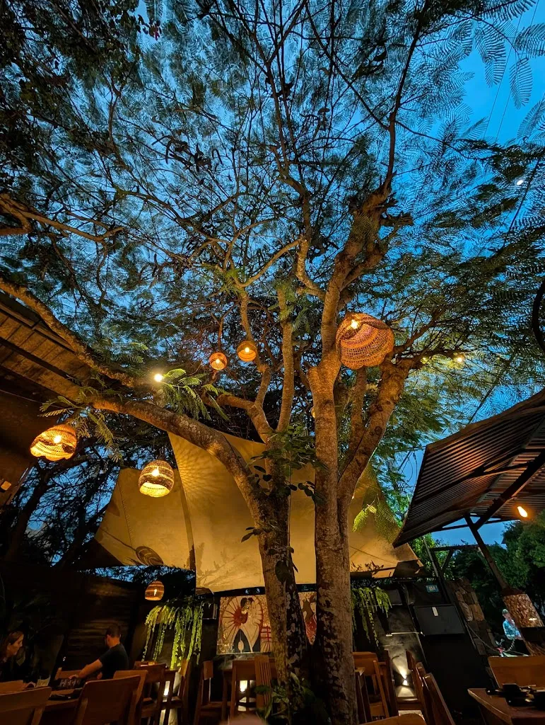 Shannon Cuddy_Midori_Galápagos_review