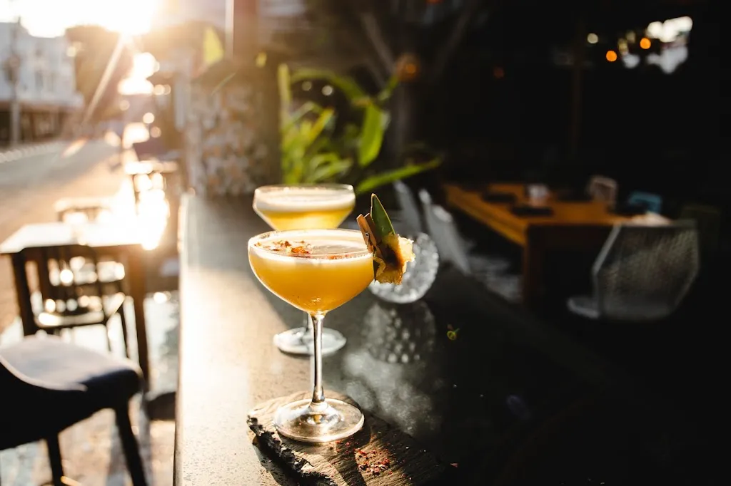 Midori_Galápagos_slider_image_3