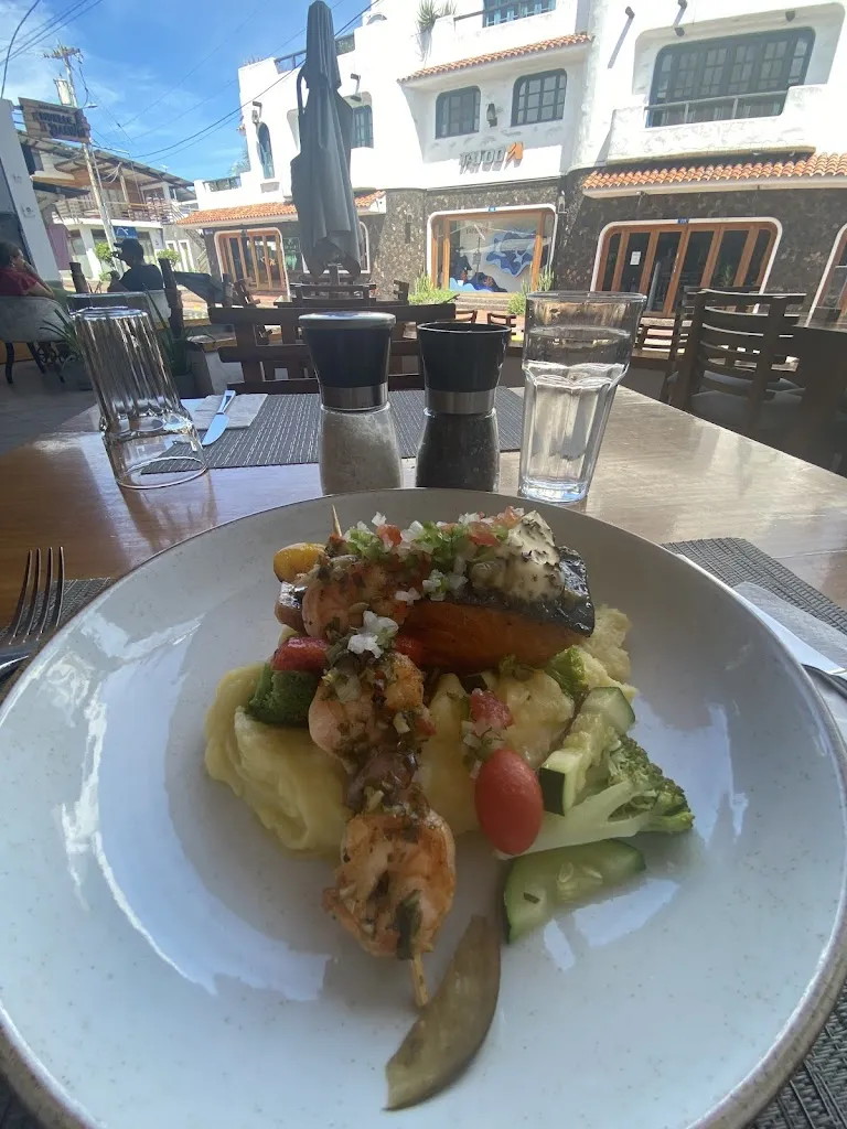 Carly Nimmo_El Muelle de Darwin_Galápagos_review