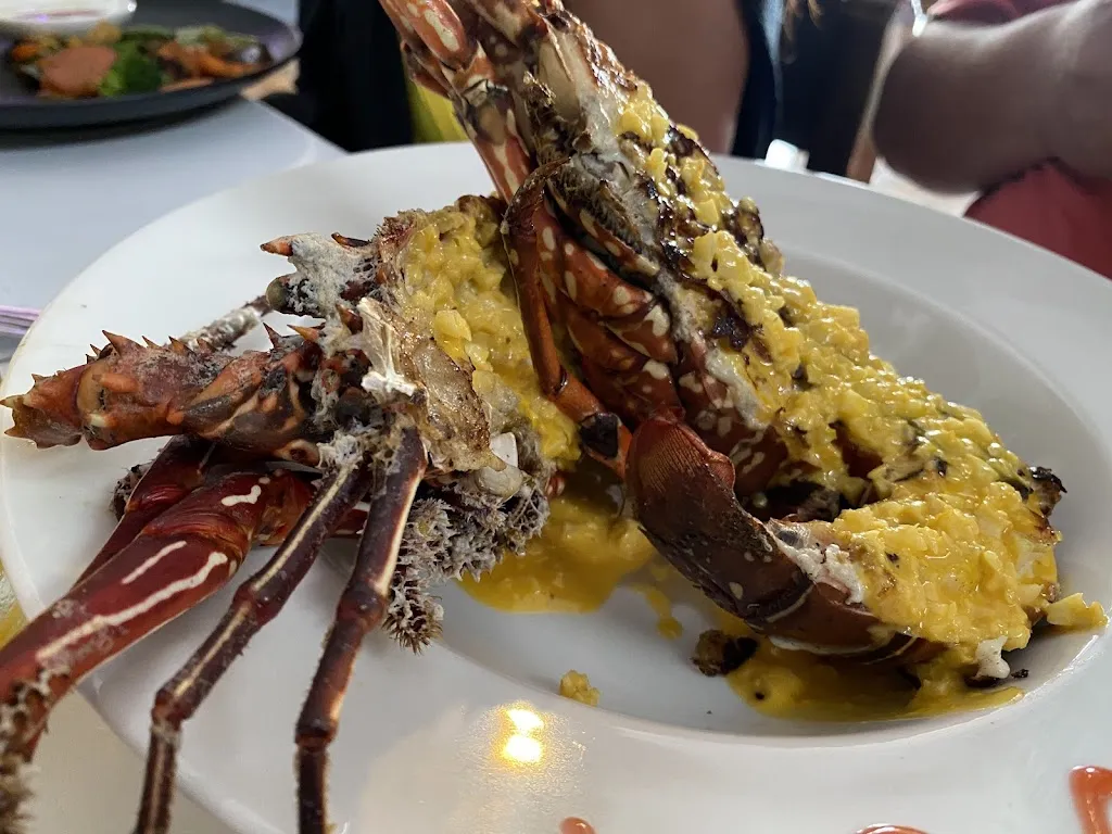 Menu_TJ_Galápagos_immagine_5