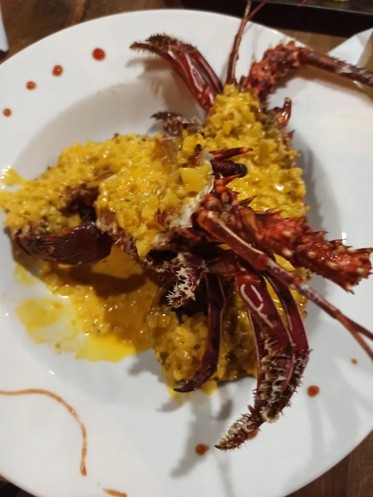 Menu_TJ_Galápagos_immagine_8