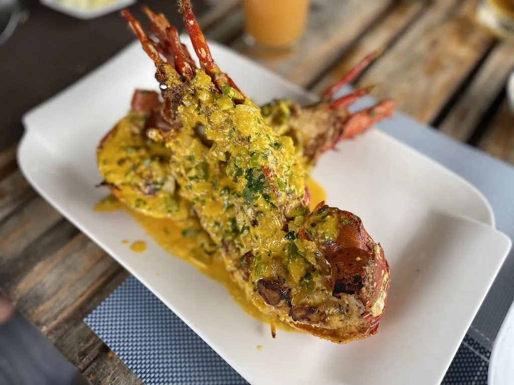 Laguna Beach_Galápagos_slider_image_3