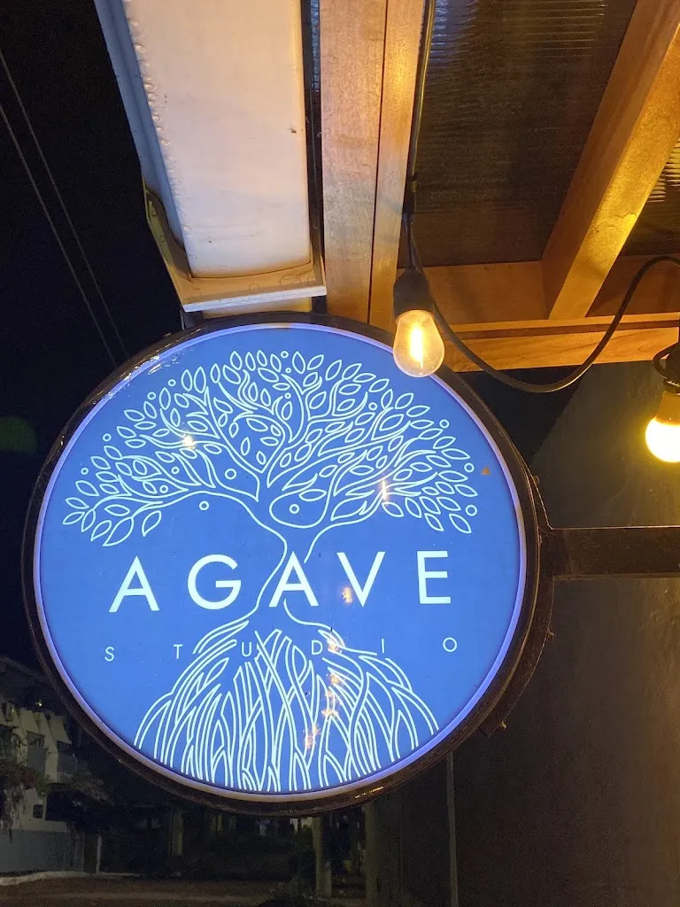 Rich Potter_Agave Studio_Galápagos_recensione