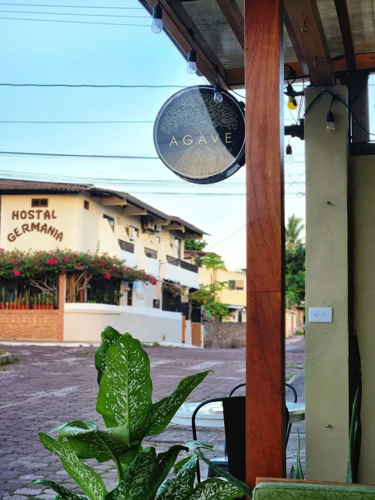 Agave Studio_Galápagos_slider_image_1