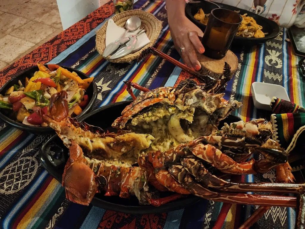 El Cafetal_Galápagos_slider_image_2