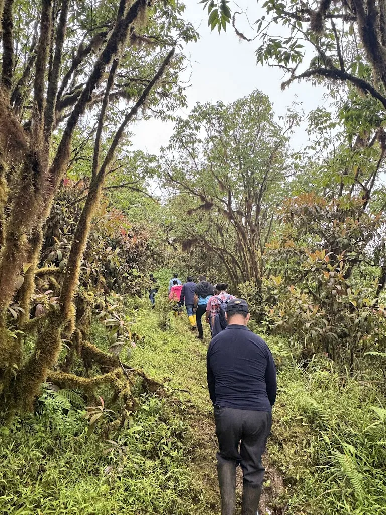 danny velarde_Royal Palm Curio Galapagos - The Highland Cafe_Galápagos_review