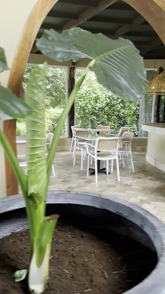 Royal Palm Curio Galapagos - The Highland Cafe_Galápagos_slider_image_2