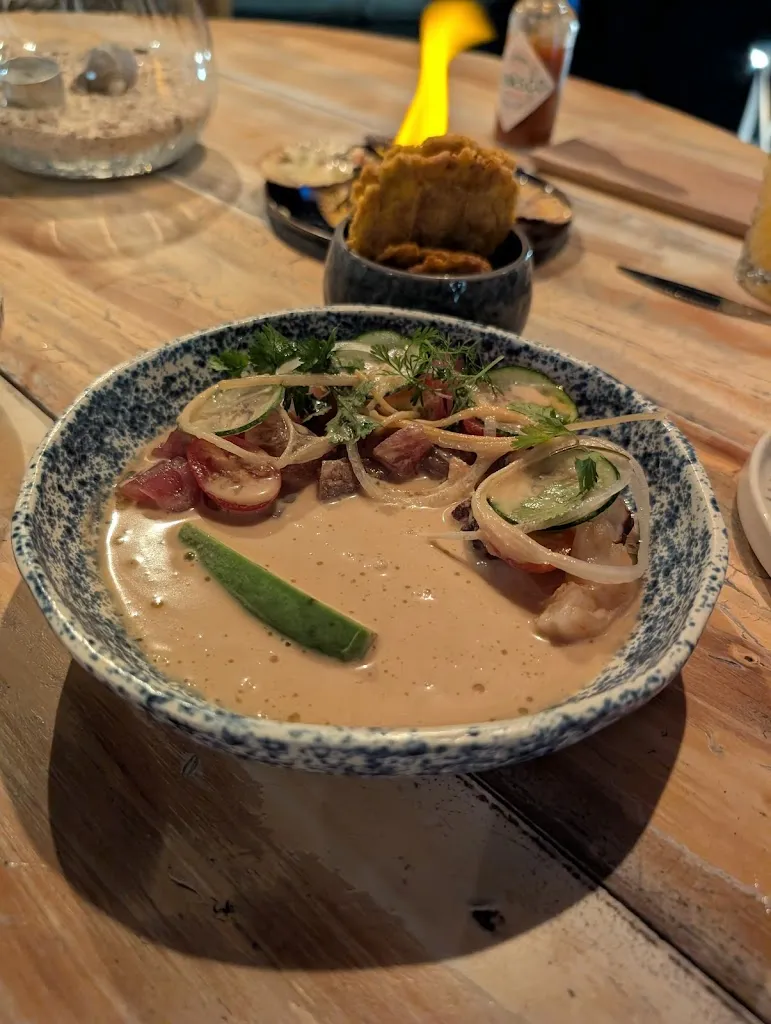 Tyler Schube_The Point By Midori_Galápagos_review