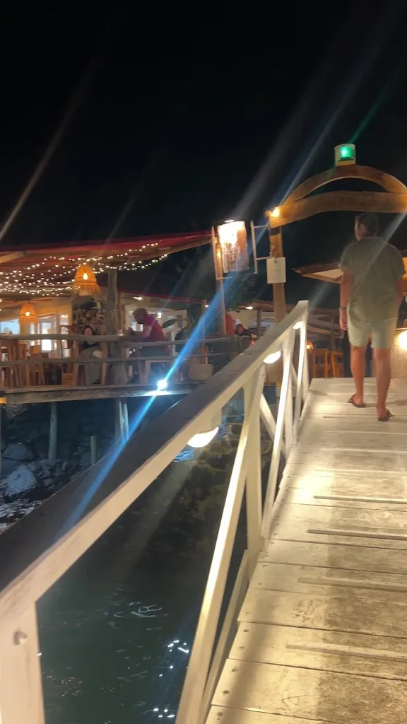 Nadia Marques de Carvalho_The Point By Midori_Galápagos_review