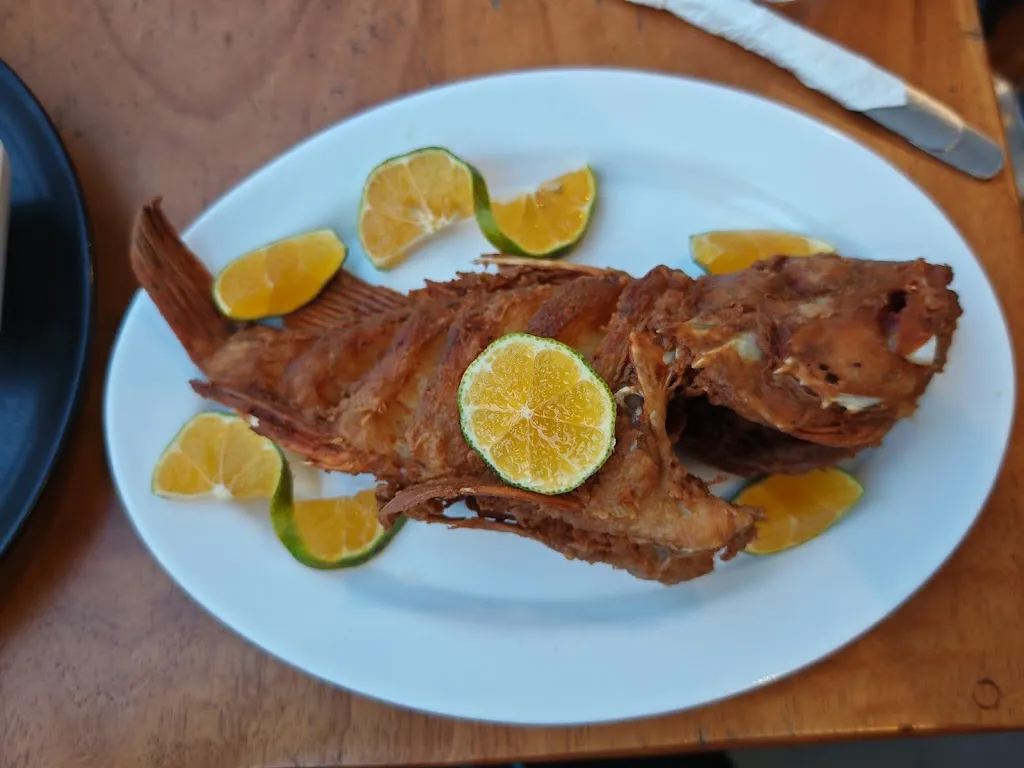 Julia Pemberton_Servi Sabroson_Galápagos_review