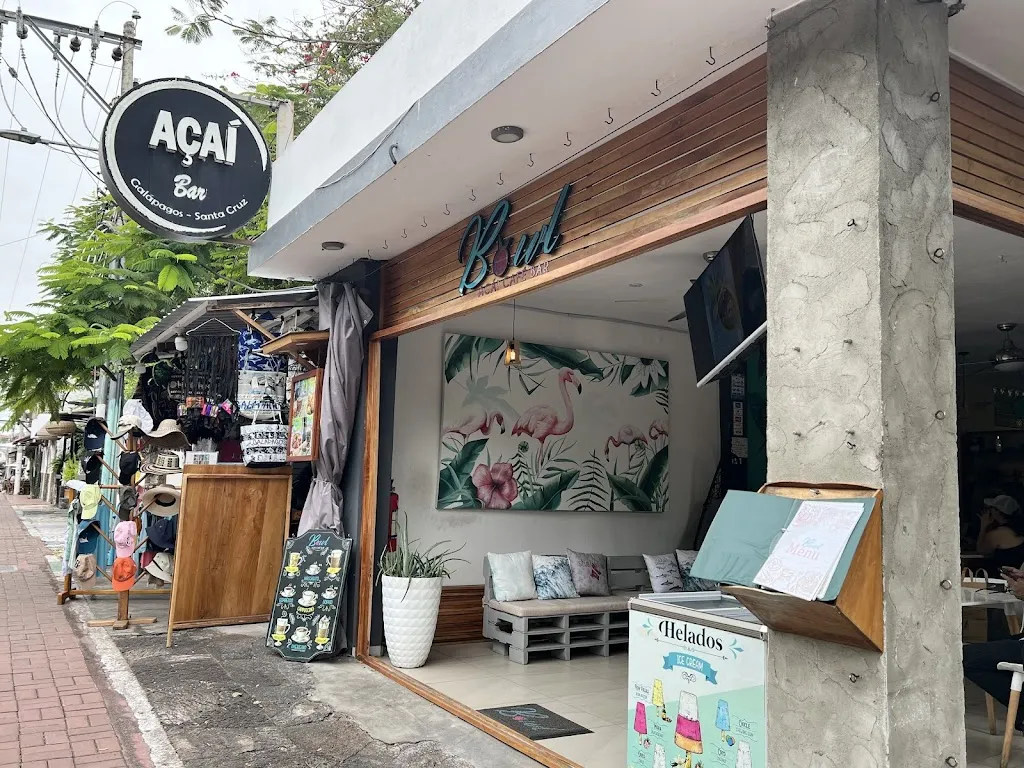 Bowl Acai Bar restaurant in Galápagos