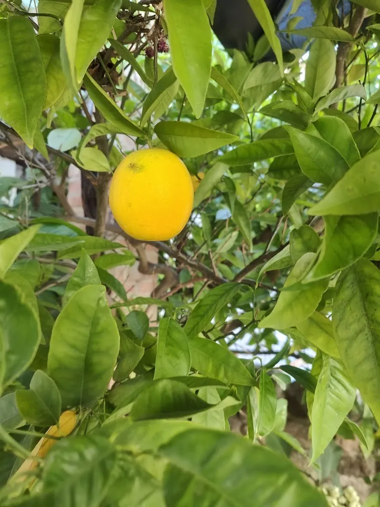 Heather Shuker_Hotel Labranza_Sacecorbo_review