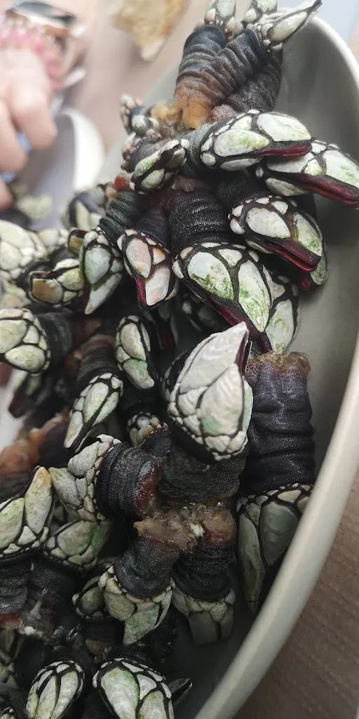 Menu_Taberna do Bico_Camariñas_image_7